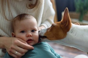 Hund und Baby