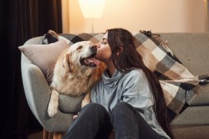 Woman is with golden retriever dog at home